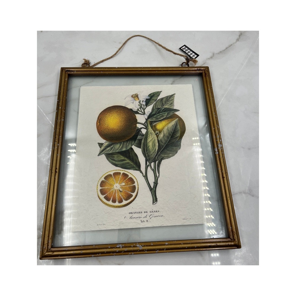 One Hundred 80 Degrees Orange Botanical Floating Glass Frame Gold Wall Art 16x12